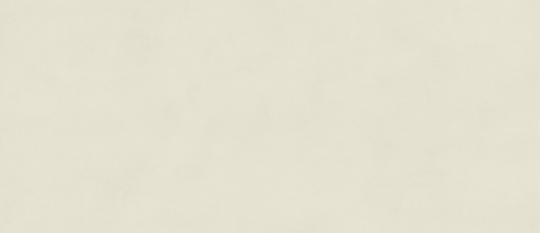 Плитка керамогранит Boost Color Salix 120x278 Matt 6mm (3,336 кв.м.) под бетон